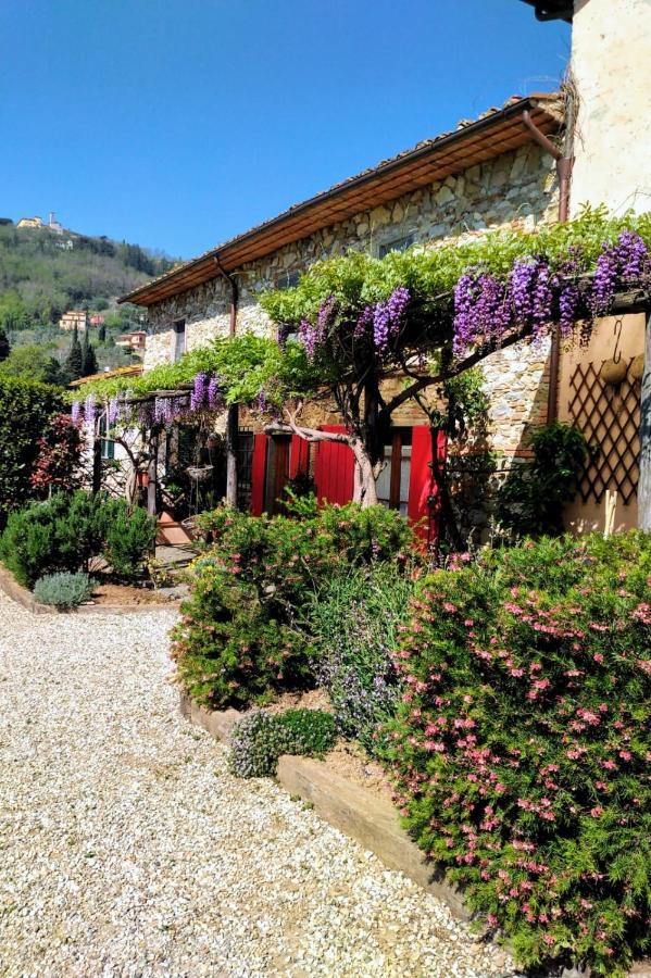 La Corte Del Falco Pieve a Nievole Bagian luar foto