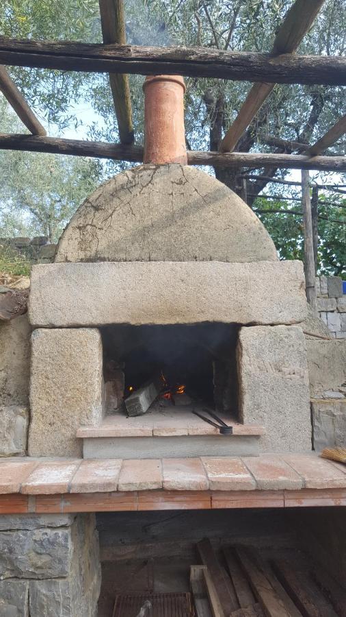 La Corte Del Falco Pieve a Nievole Bagian luar foto