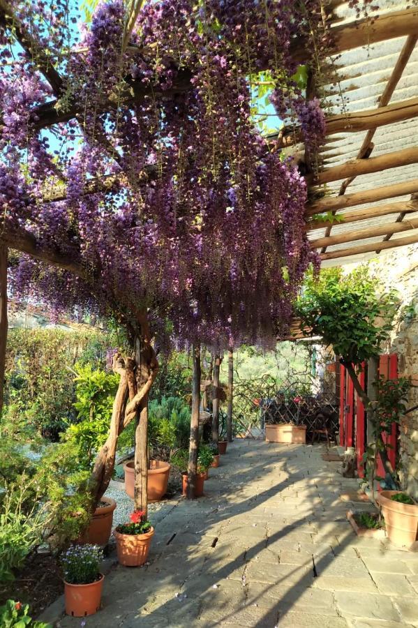 La Corte Del Falco Pieve a Nievole Bagian luar foto