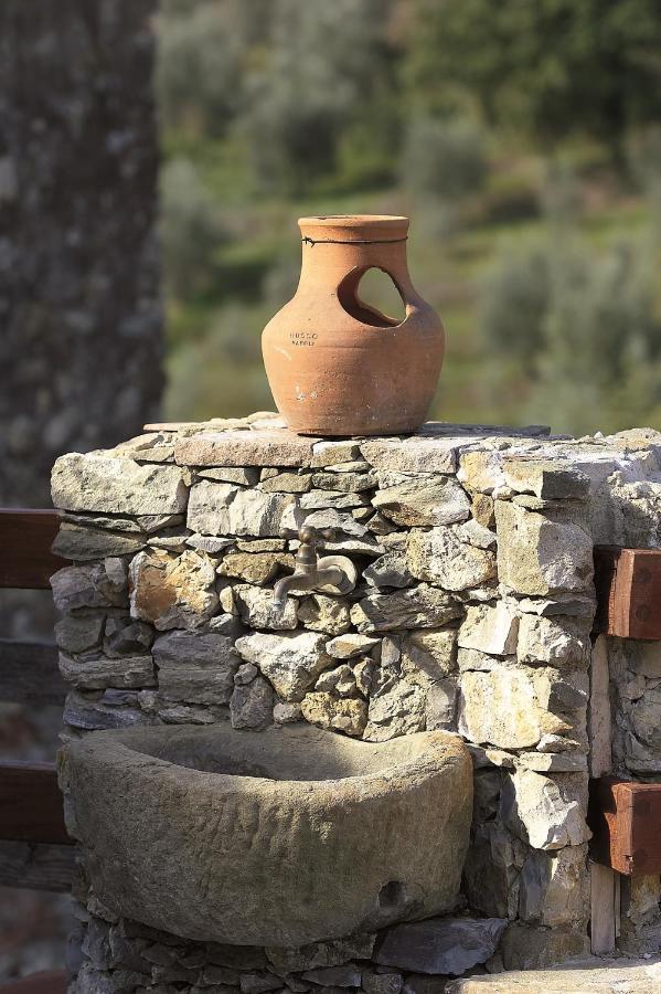 La Corte Del Falco Pieve a Nievole Bagian luar foto