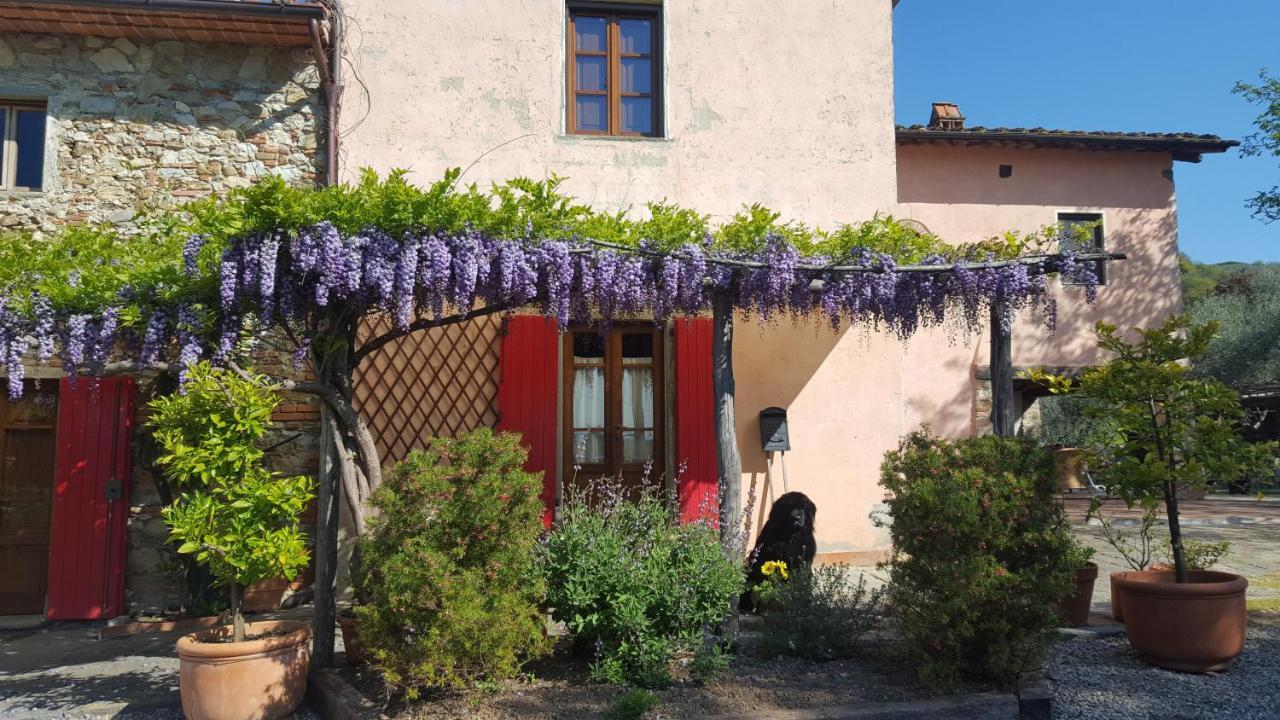 La Corte Del Falco Pieve a Nievole Bagian luar foto